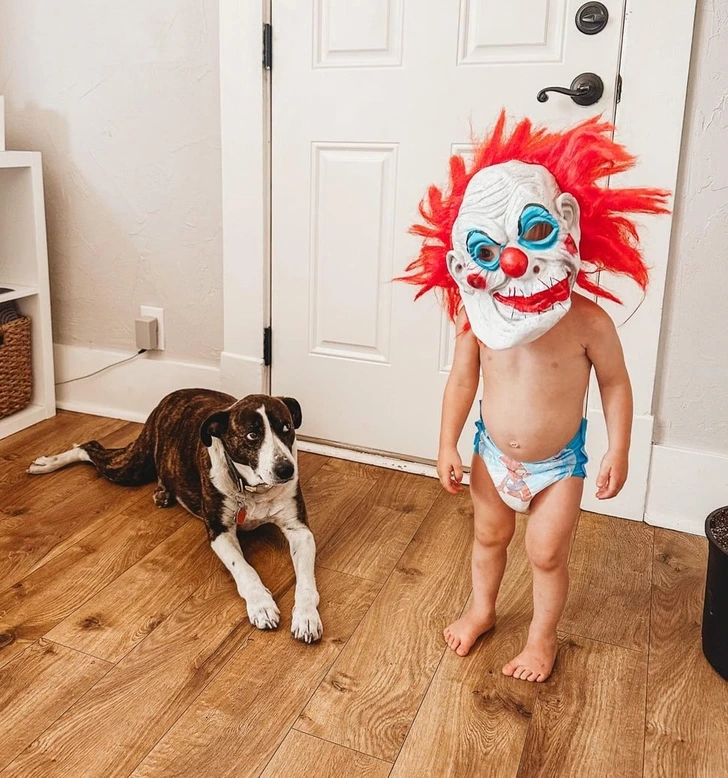 20-laugh-out-loud-moments-that-define-life-with-kids-XYXE 20+ Laugh-Out-Loud Moments That Define Life with Kids