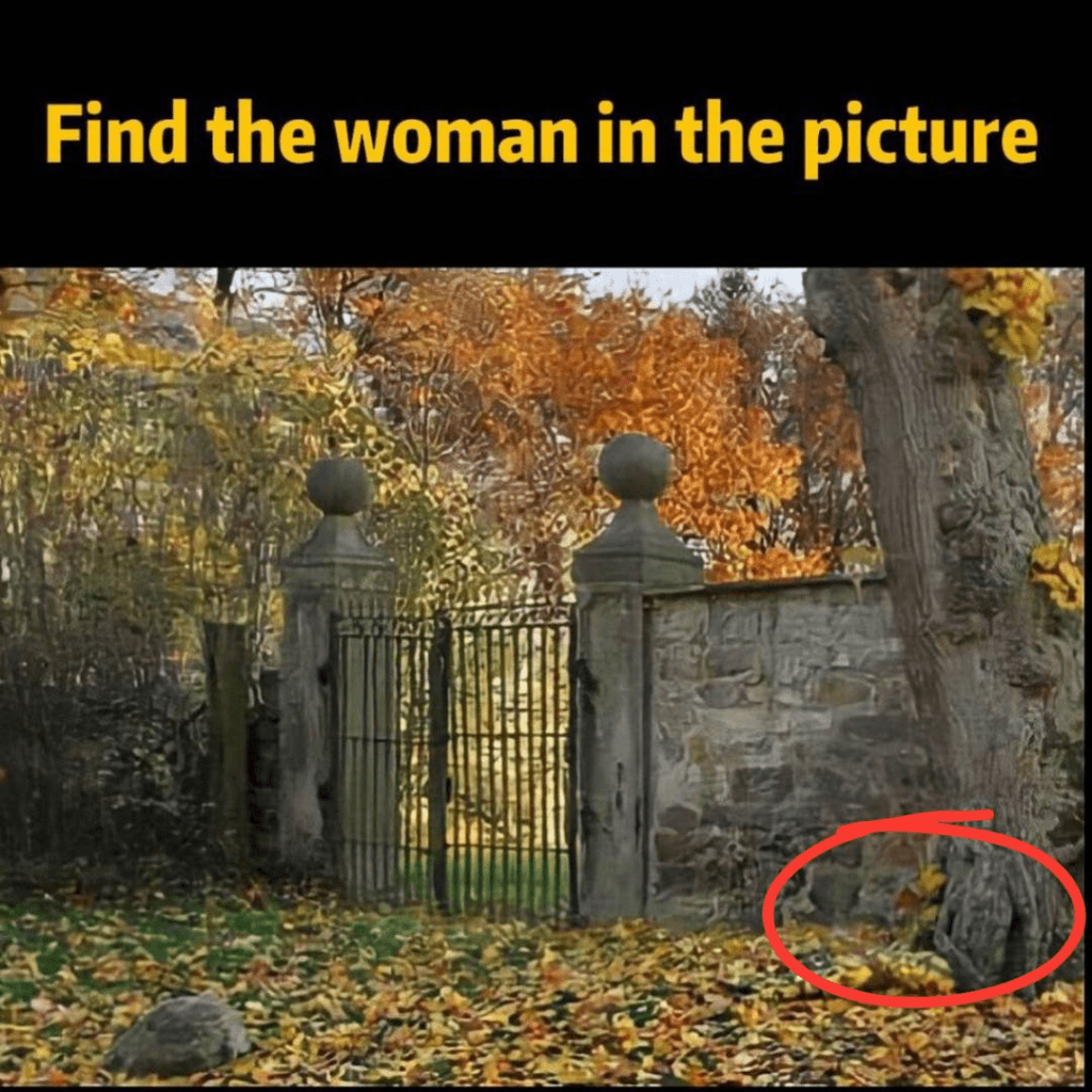 can-you-spot-the-hidden-woman-a-fun-optical-illusion-challenge-IbfC Can You Spot the Hidden Woman? A Fun Optical Illusion Challenge