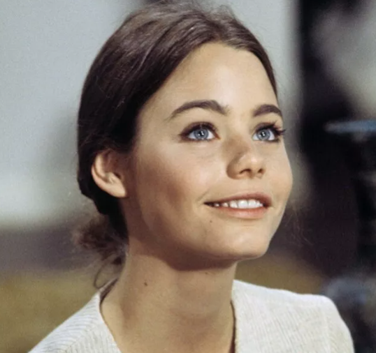 px9Z How Susan Dey Conquered Television: The Story Behind Her Lasting Legacy