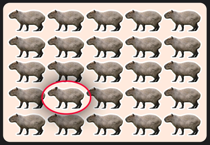test-your-focus-the-ultimate-capybara-puzzle-challenge-f3rS Test Your Focus: The Ultimate Capybara Puzzle Challenge