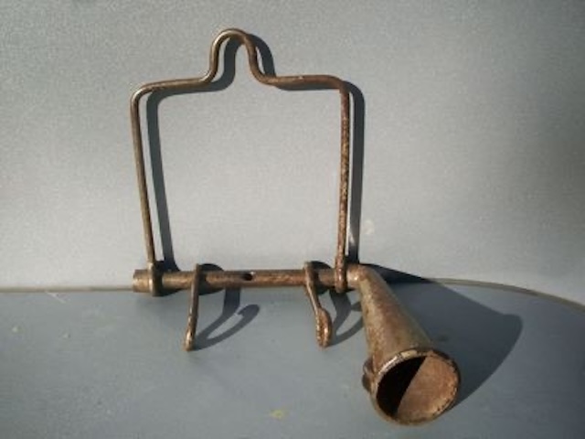 the-drenching-bit-a-key-tool-in-early-veterinary-care-ltBo The Drenching Bit: A Key Tool in Early Veterinary Care