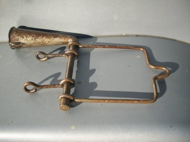 the-drenching-bit-a-key-tool-in-early-veterinary-care-zEUR The Drenching Bit: A Key Tool in Early Veterinary Care