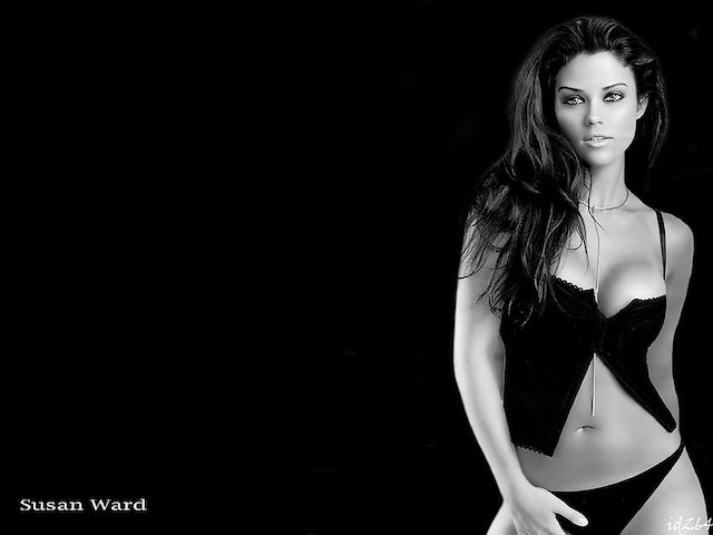 the-rise-and-legacy-of-susan-ward-from-small-town-girl-to-hollywood-star-oXSc The Rise and Legacy of Susan Ward: From Small-Town Girl to Hollywood Star