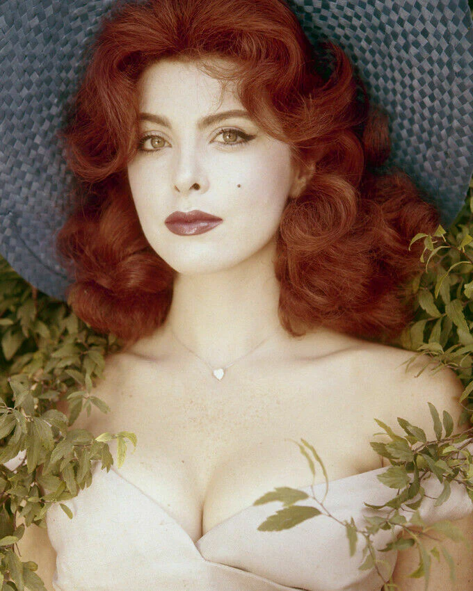 tina-louise-the-journey-of-a-hollywood-icon-beyond-ginger-grant-PRGn Tina Louise: The Journey of a Hollywood Icon Beyond Ginger Grant