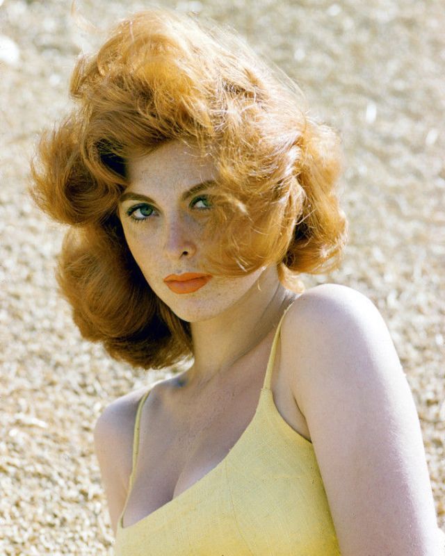 tina-louise-the-journey-of-a-hollywood-icon-beyond-ginger-grant-audb Tina Louise: The Journey of a Hollywood Icon Beyond Ginger Grant