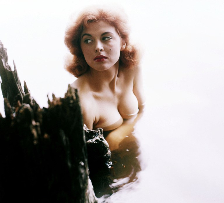 tina-louise-the-journey-of-a-hollywood-icon-beyond-ginger-grant-fxKZ Tina Louise: The Journey of a Hollywood Icon Beyond Ginger Grant