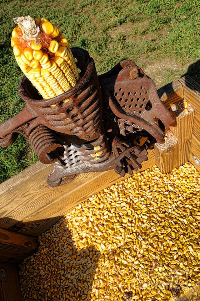 vintage-corn-shellers-the-hand-cranked-tools-that-changed-farming-forever-o3hR Vintage Corn Shellers: The Hand-Cranked Tools That Changed Farming Forever