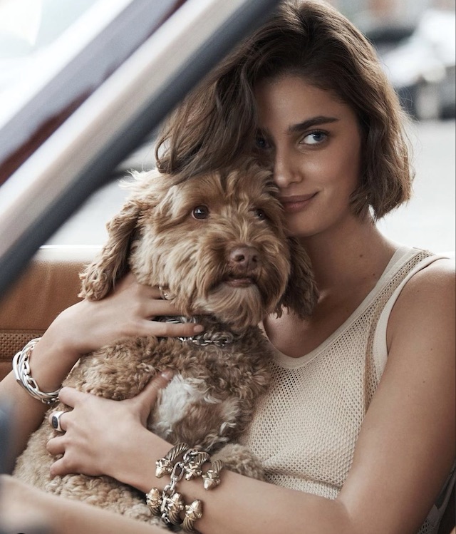 HyH0 Taylor Hill: The Journey of a Victoria’s Secret Ange