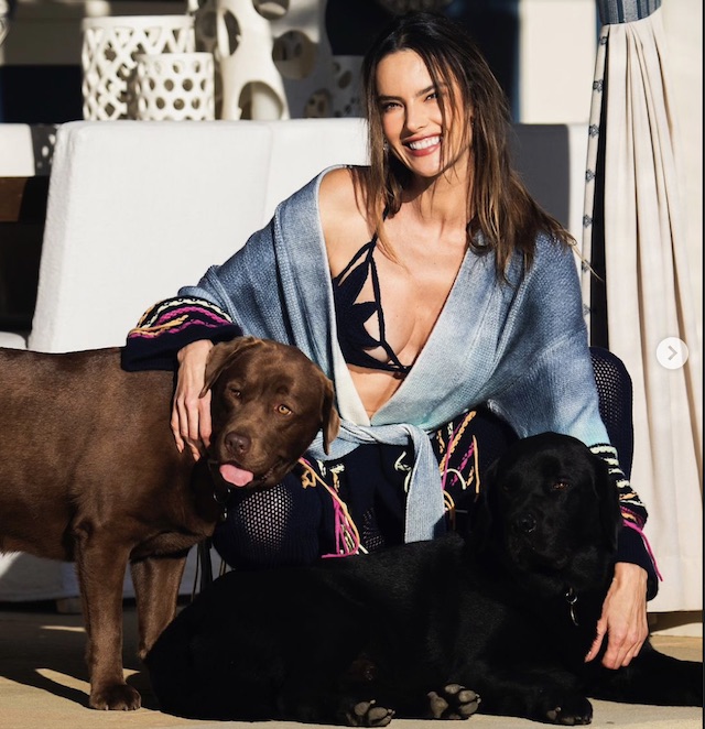 Tk8I Alessandra Ambrosio: The Journey of a Fashion Icon