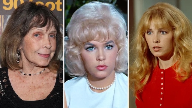 ZA9k Stella Stevens: A Hollywood Icon Who Defined an Era