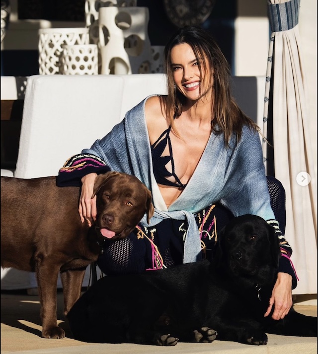 etGl Alessandra Ambrosio: The Red Carpet Icon Who Defines Modern Elegance